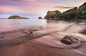 Waikato Prints: Sunrise at Hahei Beach, Coromandel Peninsula, New Zealand