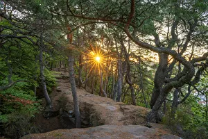 Wasgau Prints: Sunrise on Jungfernsprung near Dahn, Palatinate forest, Wasgau, Rhineland-Palatinate