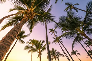 Maui Prints: Sunrise in Kihei beach, Maui island, Hawaii, USA