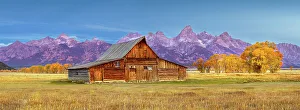 Before Sunrise Moulton Barn, Mormon Row, Historic District in Autumn, Fall Foliage with Grand Teton Mountain Range in the Background Grand Teton National Park Wyoming, USA