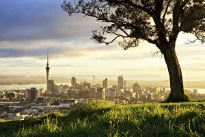Grass Gallery: Sunrise from Mount Eden, Auckland, New Zealand
