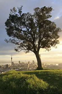Images Dated 1st November 2019: Sunrise from Mount Eden, Auckland, New Zealand