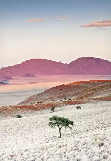 Nature Reserve Collection: Sunrise, Namibia, Africa