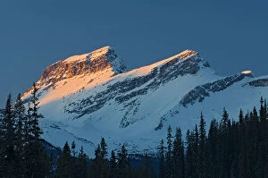 Images Dated 20th April 2023: Sunrise on peak of the Canadian Rocky Mountains. Icefields Parkway, Banff National Park, Alberta