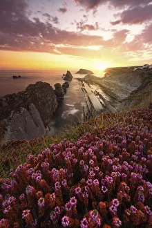 Flowery Prints: Sunrise at Playa de la Arnia, Boo de Pielagos, Cantabria, Spain