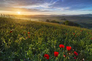 Agriturismo Gallery: Sunrise at Podere Belvedere, San Quirico d Orcia, Siena, Tuscany, Italy, Southern