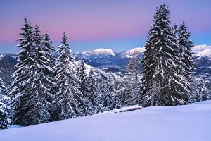 Bergamo Prints: Sunrise in Presolana, Monte Pora, Orobie alps in Bergamo province, Lombardy, Italy, Europe