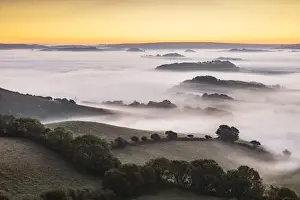 Bridport Prints: Sunrise from Quarry Hill, Bridport, Dorset, England, UK