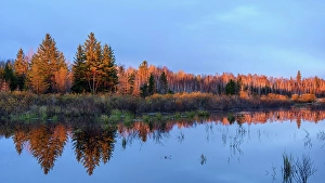 Natural Arch Prints: Sunrise reflections in a beaver pond in early spring, Greater Sudbury, Ontario, Canada