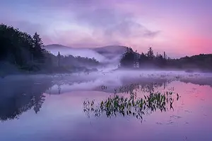 Michael Blanchette Prints: Sunrise relfection at Turtlehead Pond with fog, Green Mountains, Marshfield, Vermont, USA