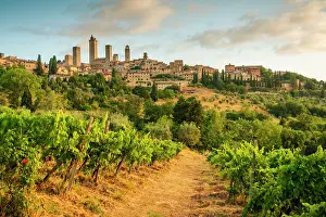 Vine Prints: Sunrise over San Gimignano, Siena province, Tuscany, Italy