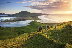 Images Dated 1st November 2019: Sunrise from Sandymount, Otago Peninsula, New Zealand
