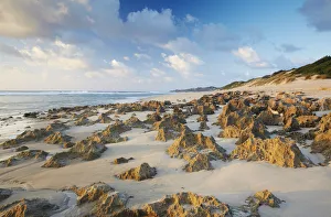 Images Dated 24th November 2010: Sunrise on Tofo beach, Tofo, Inhambane, Mozambique