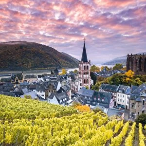 Romantic Gallery: Sunrise over vineyards, Bacharach, Rhineland-Palatinate, Germany