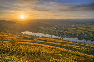 Sunrise above the vineyards of Piesport, Mosel valley, Rhineland-Palatinate, Germany Sunrise above the vineyards of Piesport, Mosel valley, Rhineland-Palatinate, Germany