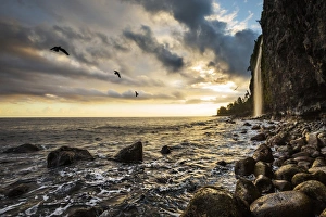 Big Island Prints: Sunrise from the bottom of Waipio Valley, in Koala coast, Big Island, Hawaii, USA