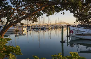 Images Dated 4th November 2019: Sunrise from Westhaven marina, Auckland, New Zealand