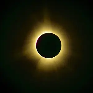 Black Prints: Sun's corona during total eclipse, Errol, New Hampshire, USA