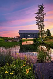 Timber Prints: Sunset at the A.M. Foster Bridge with black-eyed susan flowers