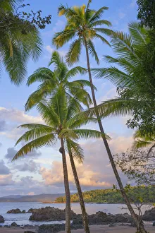 Sea Shore Prints: Sunset at the beach, Drake Bay, Corcovado National Park, Osa Peninsula, Costa Rica
