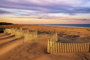 Cape Cod Prints: Sunset over beach fence at Nauset Beach, Cape Cod, Orleans, Massachusetts, USA