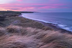 Dunes Prints: Sunset over Berwick on Tweed from the marram grass covered dunes above Cocklawburn Beach in Northumberland