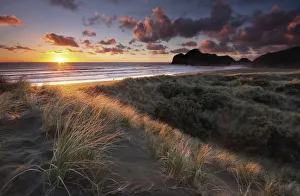 Auckland Prints: Sunset at Bethells Beach, Auckland, New Zealand