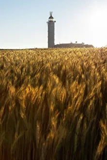 Grain Prints: Sunset at Cap Gris Nez, Audinghen, Boulogne sur Mer, Calais, Haute France, France