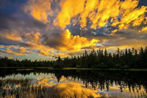 Temperate Rain Forest Ecosystem Prints: Sunset clouds reflected in a pond, Mendenhall Lake Campground, Juneau, Alaska, USA