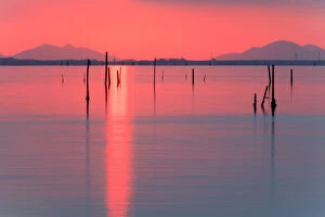Sunset of the coast of the Isola di Pellestrina, Venice, Veneto, Italy