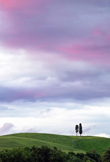 Color Prints: Sunset over cypress trees, Val d'Orcia, Tuscany, Italy