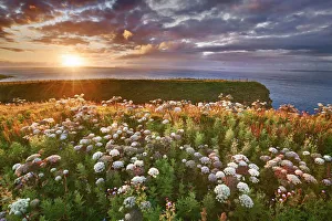Back Light Prints: Sunset at Duncansby Head - United Kingdom, Scotland, Caithness, Duncansby Head