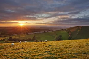 New England Collection: Sunset from Eggardon Hill, Bridport, Dorset, England