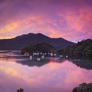 Sunset illuminates the picturesque Ngakuta Bay, Queen Charlotte Sound, Marlborough Sounds