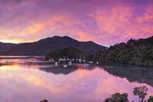 Images Dated 31st March 2014: Sunset illuminates the picturesque Ngakuta Bay, Queen Charlotte Sound, Marlborough Sounds