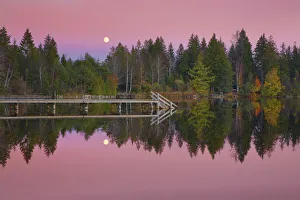 Mixed Forest Prints: Sunset impression at full moon - Germany, Bavaria, Upper Bavaria, Bad Tolz-Wolfratshausen