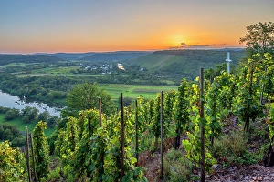 Saar Valley Prints: Sunset above Kanzem with Altenberg vineyard