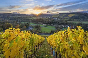 Images Dated 15th December 2021: Sunset above Kanzem with Altenberg vineyard, Saar valley, Hunsruck, Rhineland-Palatinate, Germany