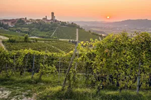 Agricultures Gallery: Sunset in Langhe, Barbaresco, Piedmont, Italy