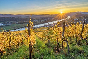River Mosel Prints: Sunset at Lieser, Mosel, Mosel valley, Rhineland-Palatinate, Germany