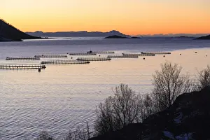 Gryllefjord Prints: Sunset lights up the fish tanks of codfish and salmon in the cold sea of Torsken Senja Tromso Norway Europe