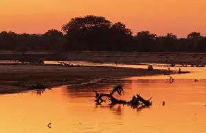 Zambia Prints: Sunset over the Luangwa River, South Luangwa National Park, Zambia