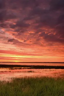 Estuary Prints: Sunset from marsh at Fort Hill with reflection, Cape Cod, Eastham, Massachusetts, USA