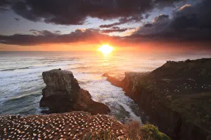 Images Dated 1st November 2019: Sunset at Muriwai beach, Auckland, New Zealand