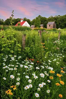 Sutton Prints: Sunset at Muster Field Farm with flowers, North Sutton, New Hampshire, USA