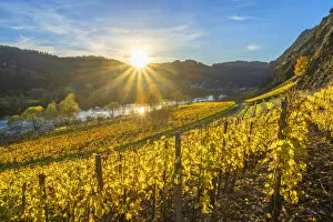 Images Dated 15th December 2021: Sunset near Cochem, Mosel valley, Rhineland-Palatinate, Germany
