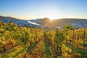 Sunset at Nittel, Mosel valley, Rhineland-Palatinate, Germany