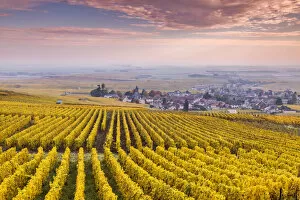 Sunset oevr the vineyards of Oger, Champagne Ardenne, France