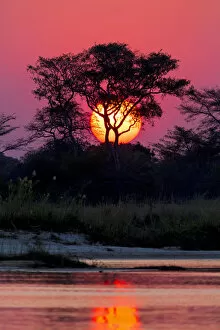Okavango Collection: Sunset at the Okavango Delta, Botswana, Africa