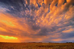 Manitoba Prints: Sunset onthe Canadian prairie Inglis, Manitoba, Canada